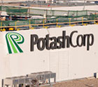 77 Signs-Illuminated Channel Letters-Potash Corp-Nutrien